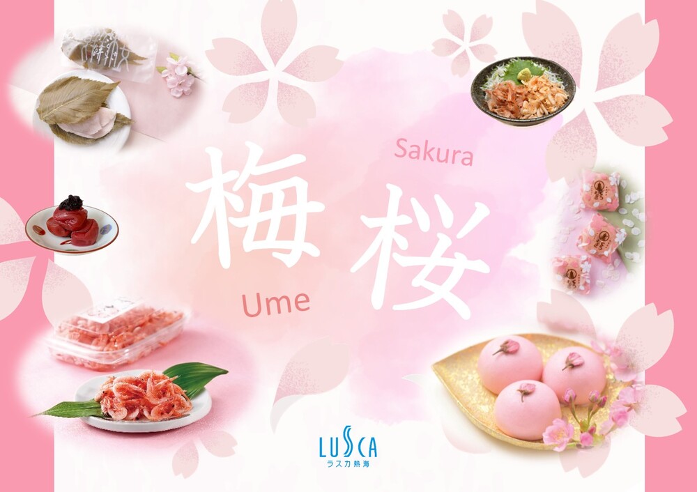 〈梅桜のおすすめ商品＆メニュー＞を取り揃えております！ 