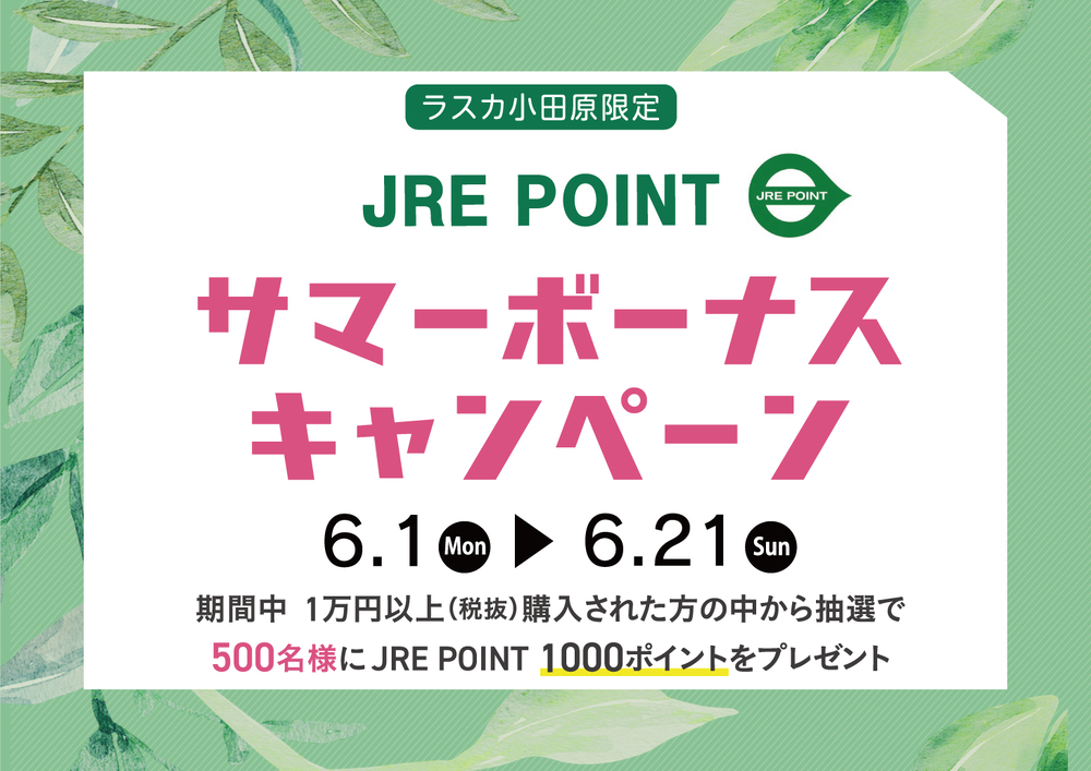 サマーボーナス