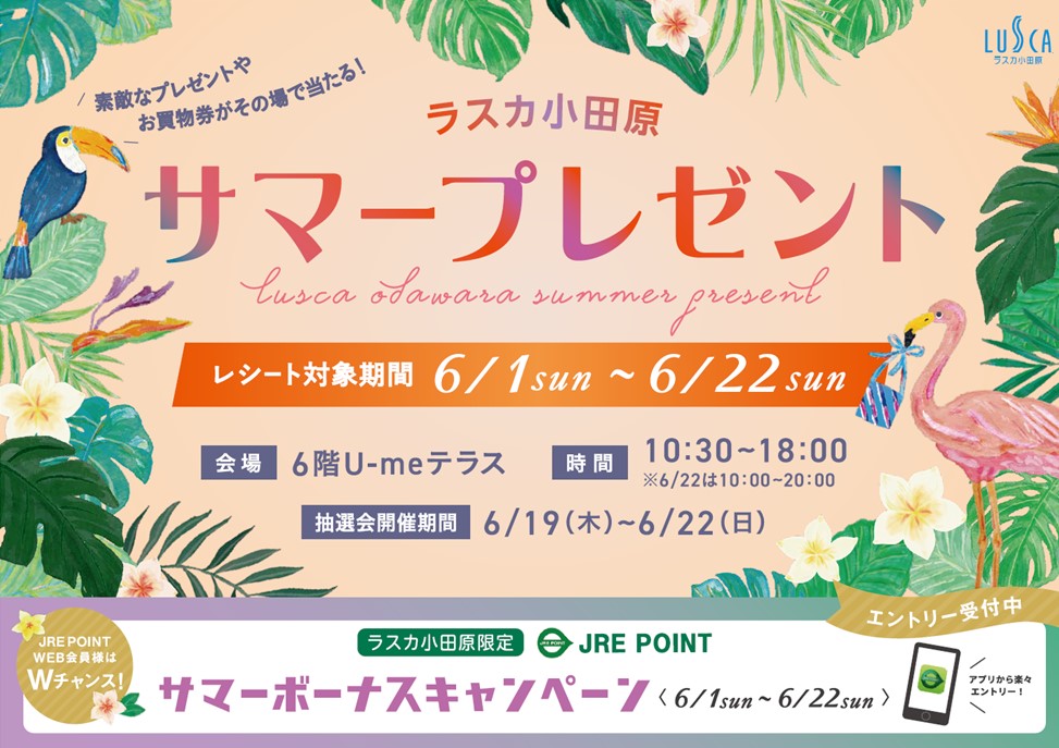 サマープレゼント