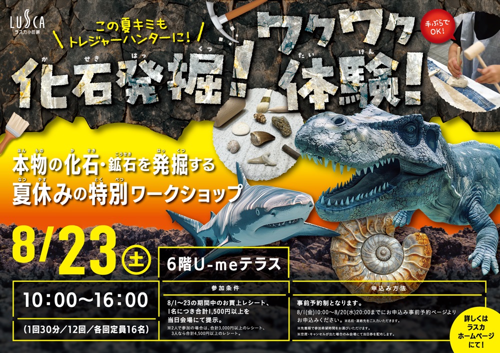 化石発掘！ワクワク体験！
